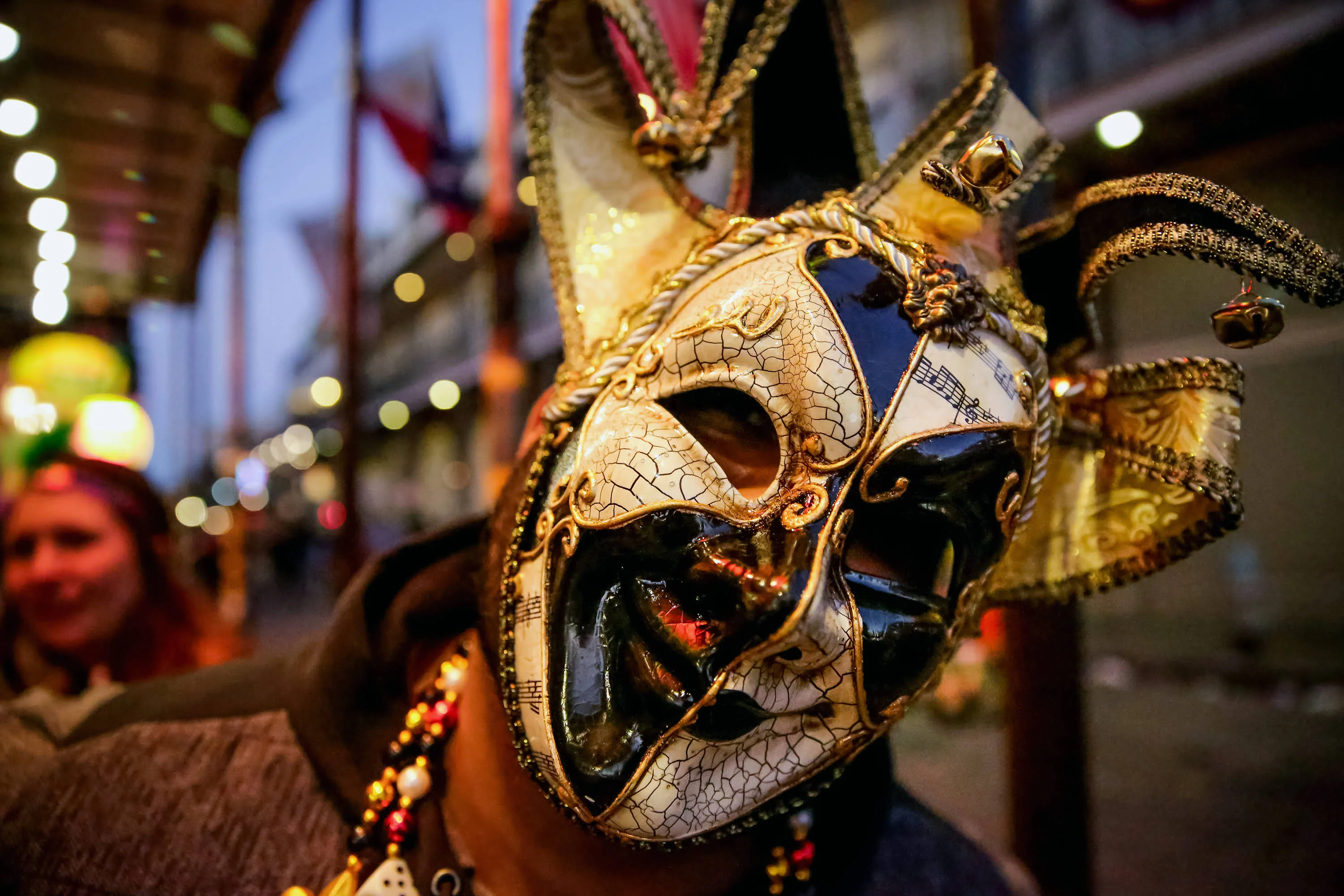 A Celebration of Carnival: Arthur Hardy looks back at 50 years of Mardi Gras in New Orleans - Image 7