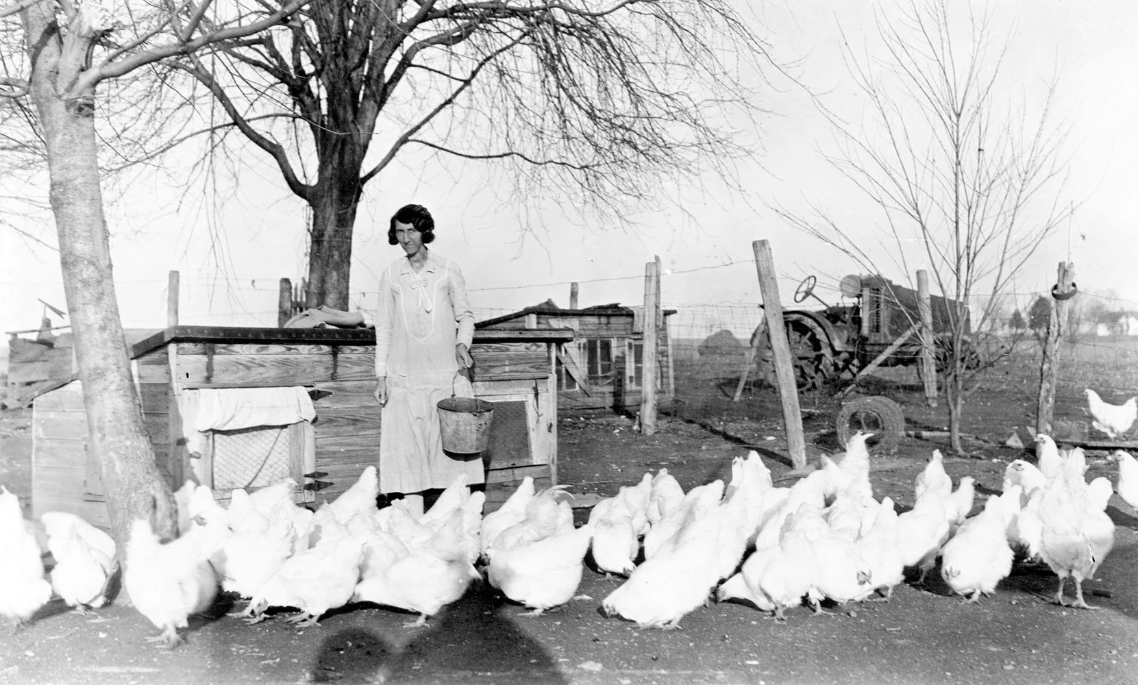 Callaway County Memories - Image 3