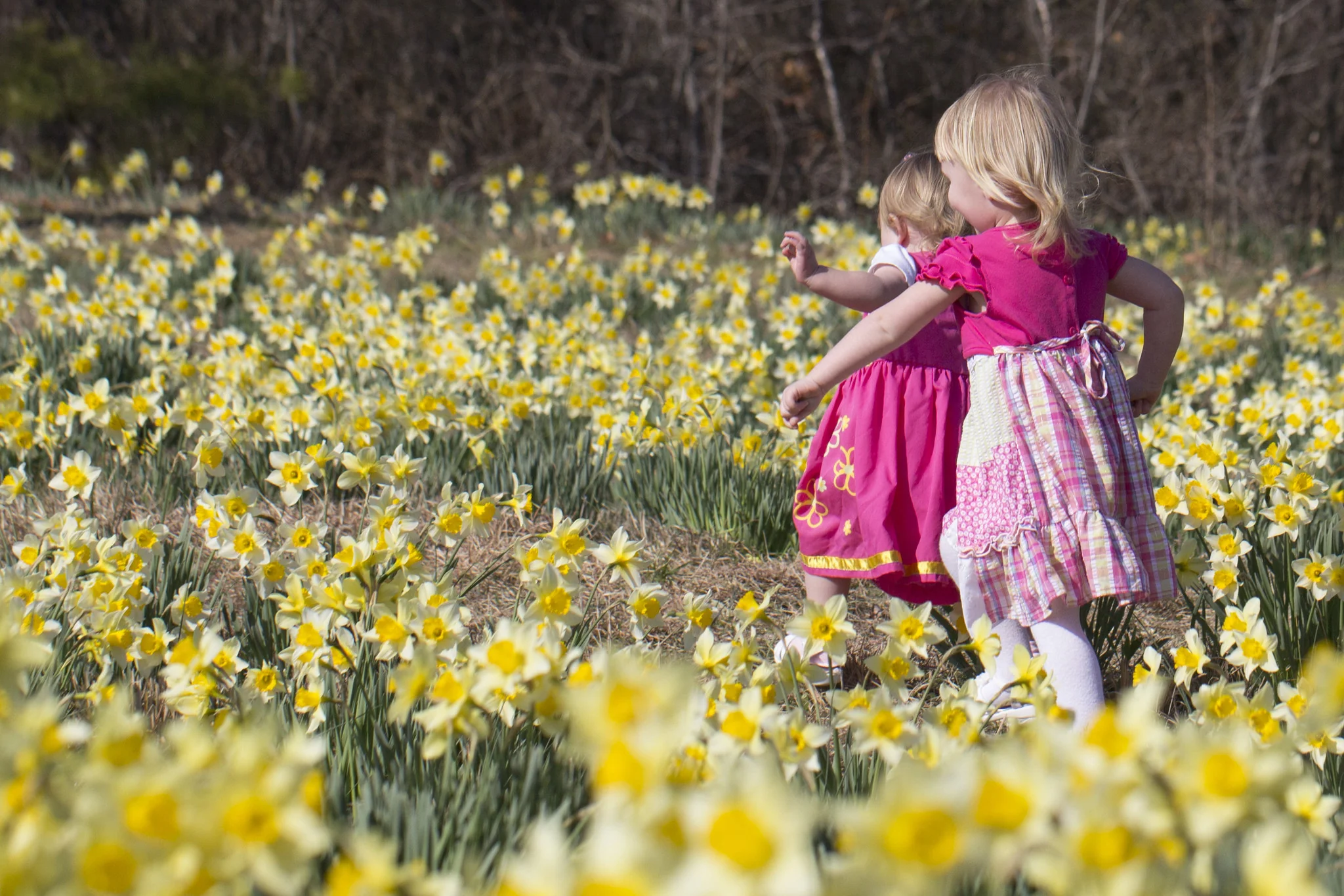 Capture Arkansas IV: The best of Arkansas in Photography - Image 4