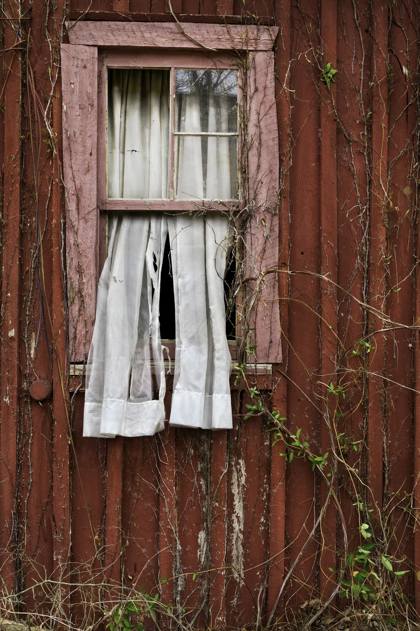 Capture Arkansas IV: The best of Arkansas in Photography - Image 6