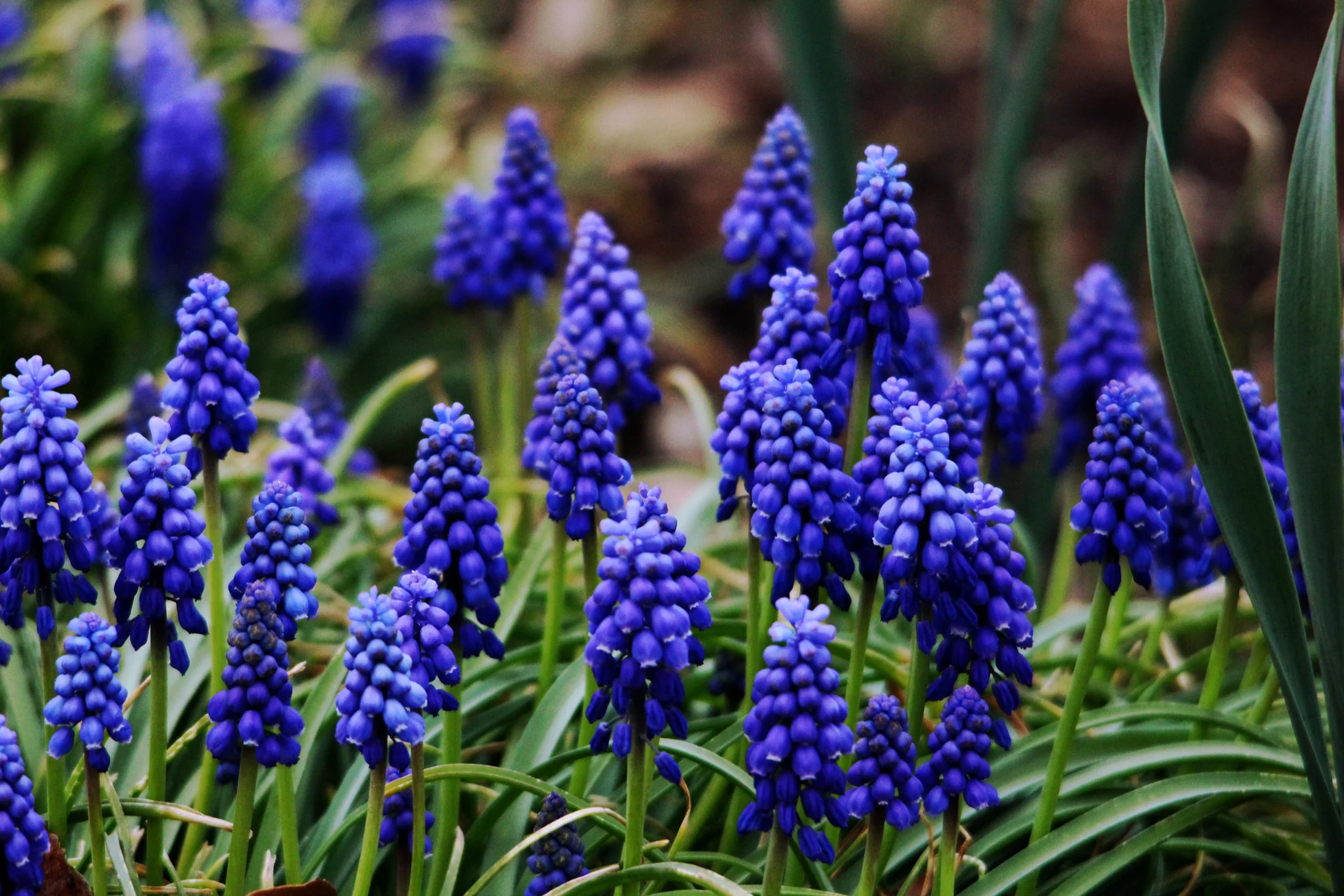 Capture Arkansas IV: The best of Arkansas in Photography - Image 9