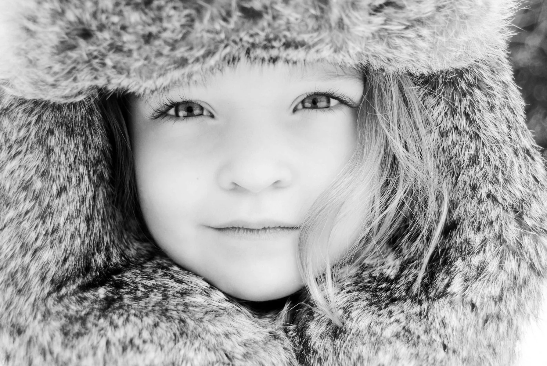 Capture Door County: The Best of Door County in Photography - Image 3