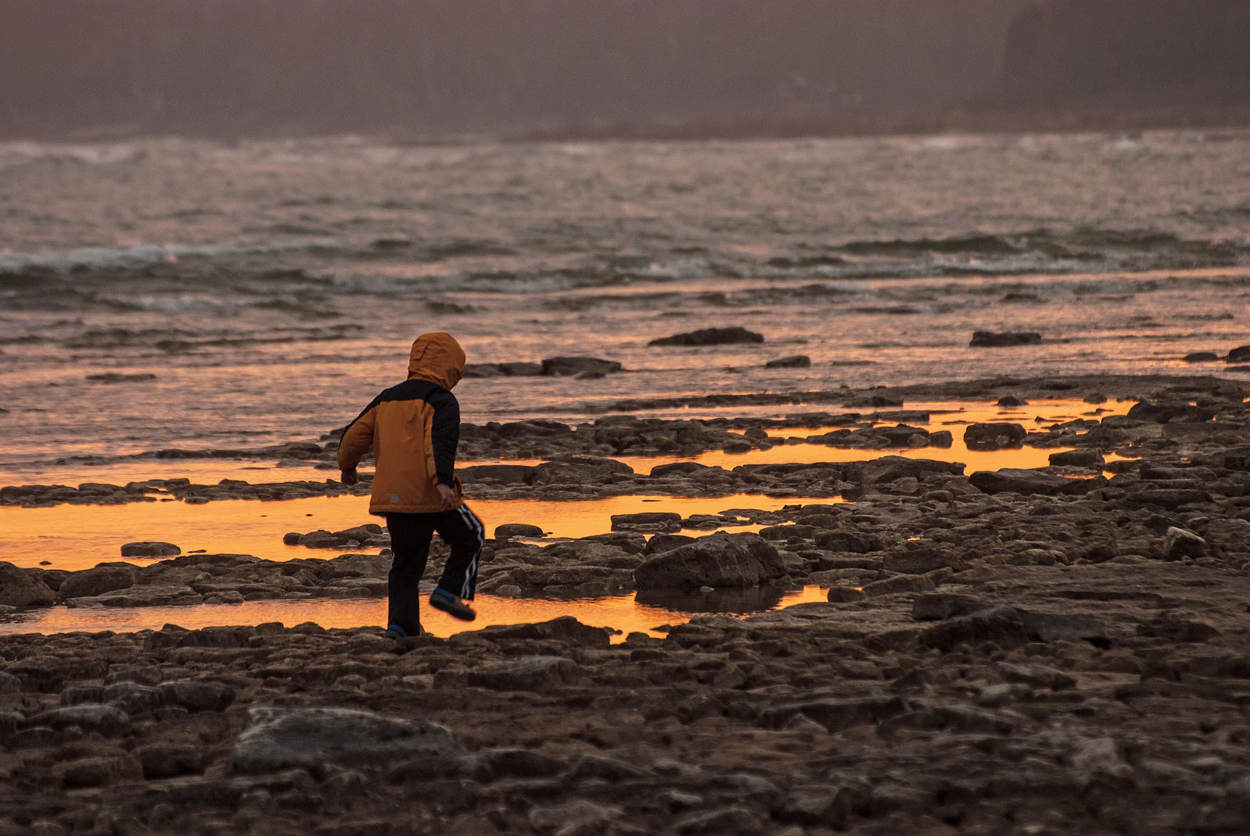 Capture Door County: The Best of Door County in Photography - Image 9