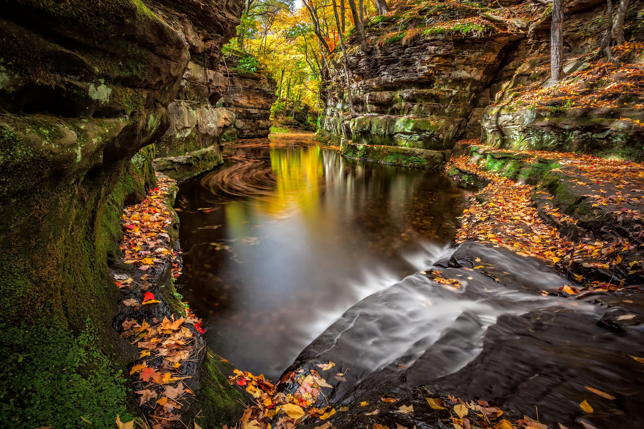 Capture Wisconsin II: Wisconsin Through the Eyes of Wisconsin Photographers - Image 4