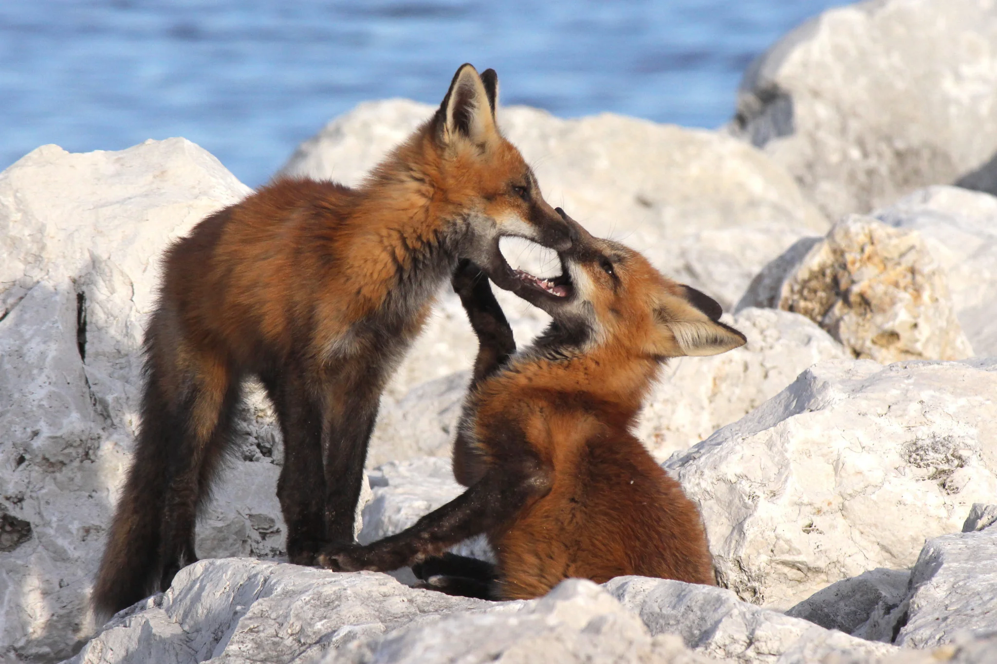 Capture Wisconsin II: Wisconsin Through the Eyes of Wisconsin Photographers - Image 5