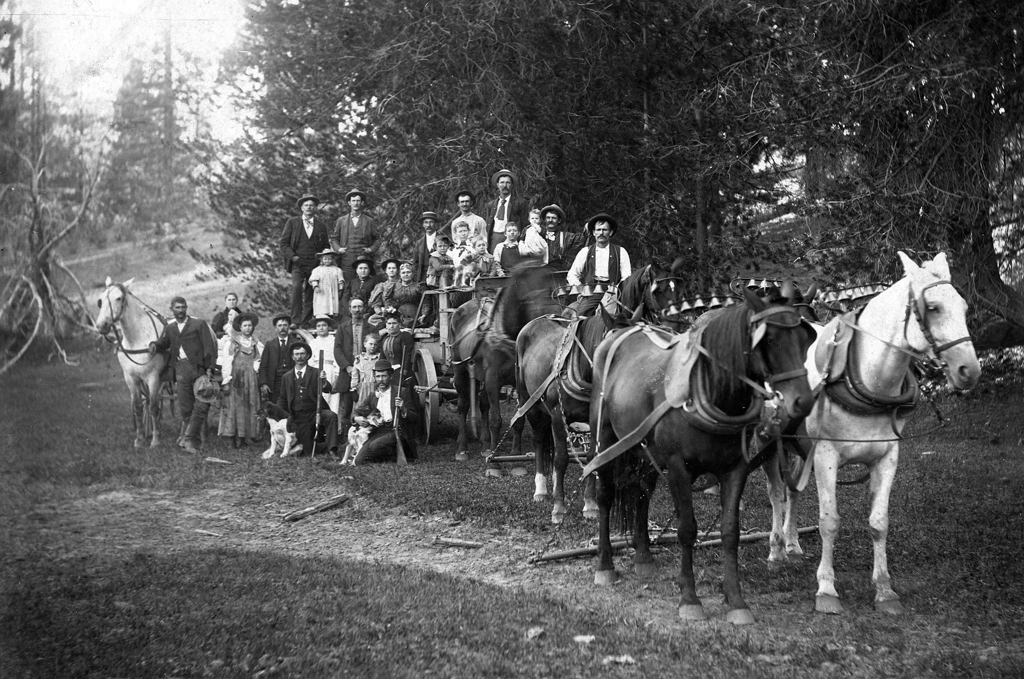 Fresno Memories: The Early Years - Image 12