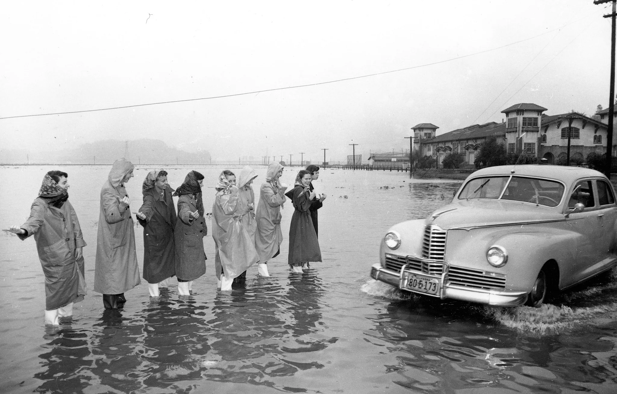 Marin Memories: The Early Years - Image 3