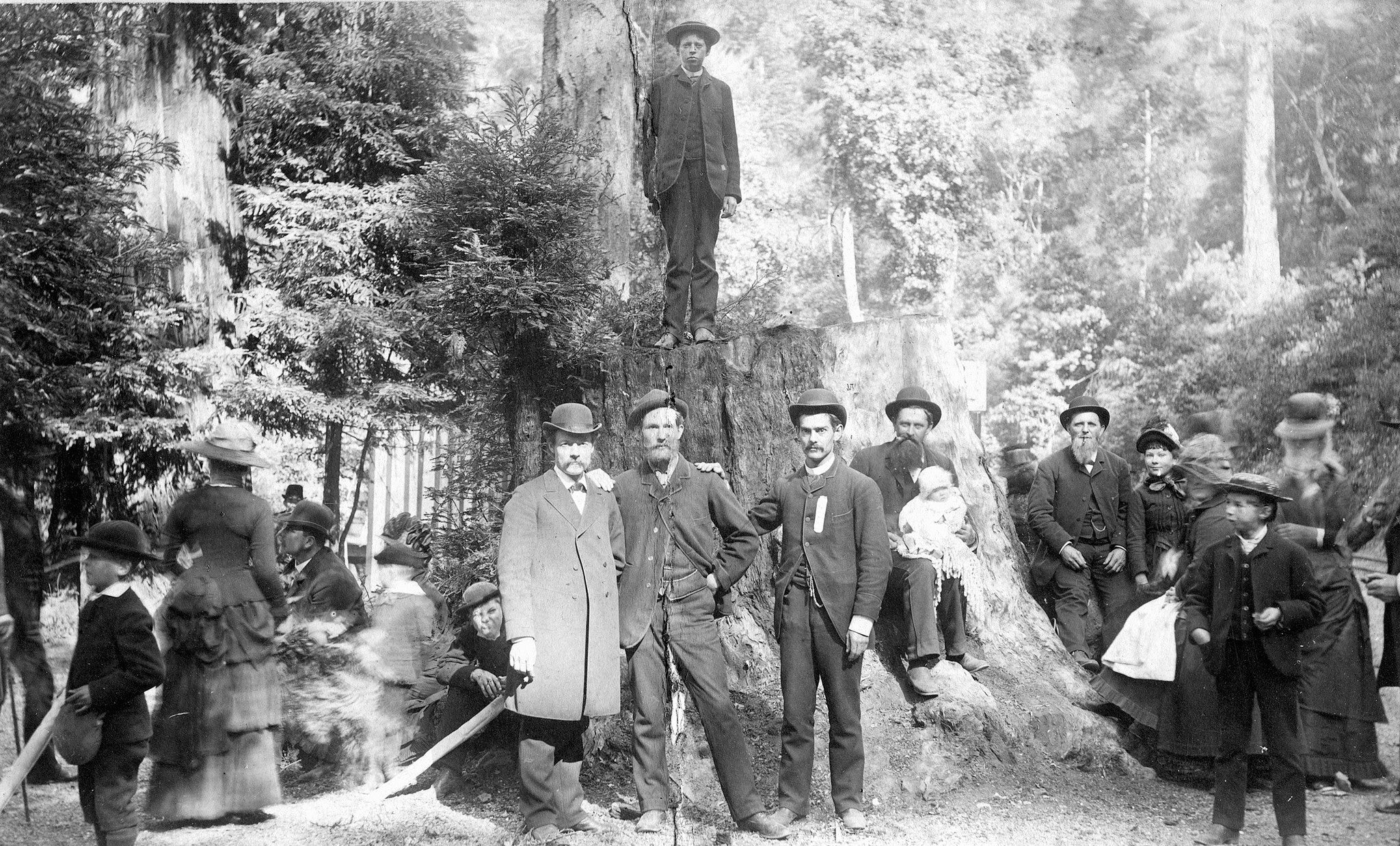 Marin Memories: The Early Years - Image 5