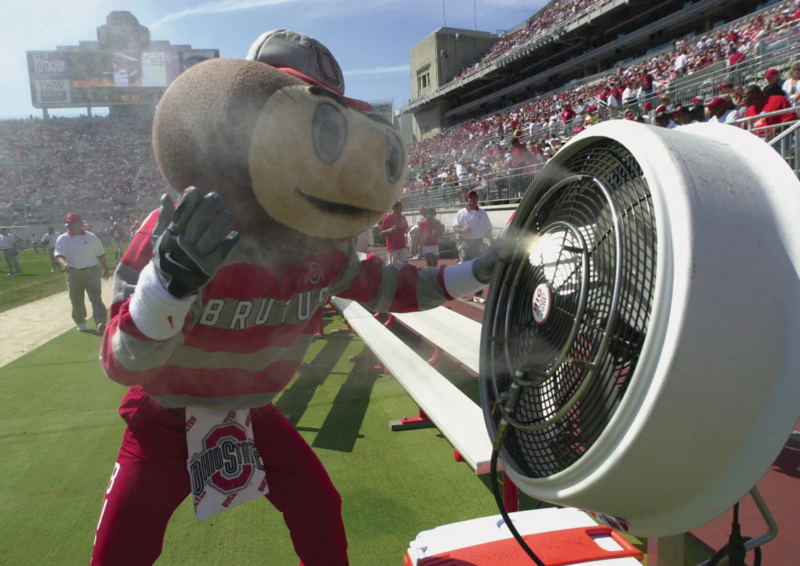 Mission Accomplished: The Ohio State University Buckeyes' 2002 Championship Season - Image 4