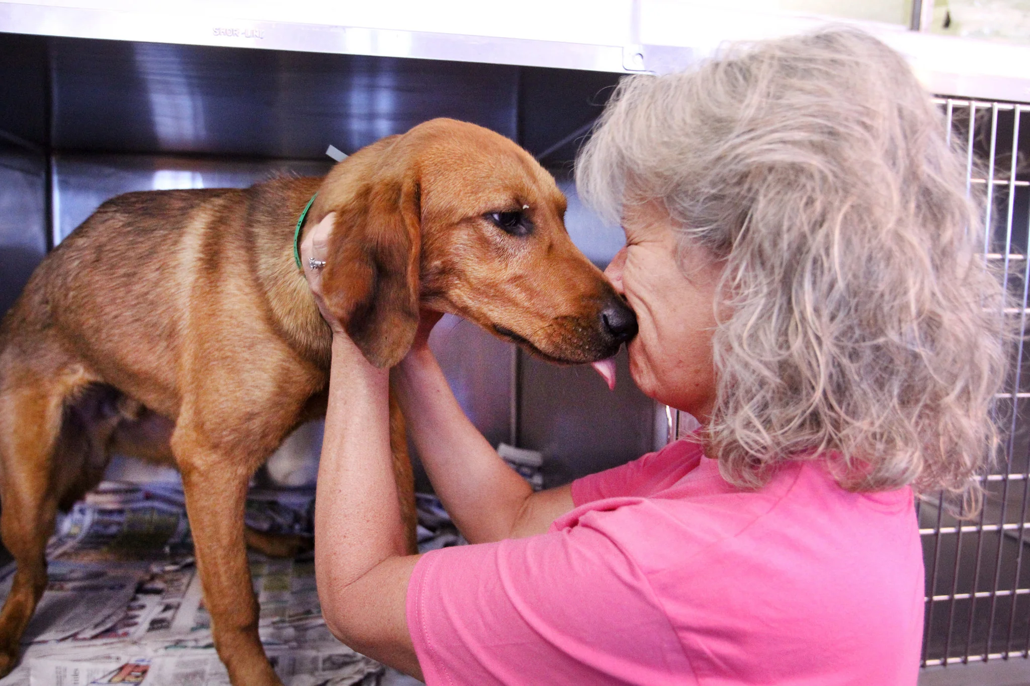 31 Miles of Destruction: The Aftermath of a Tornado that Ripped Through Northeast Mississippi - Image 11