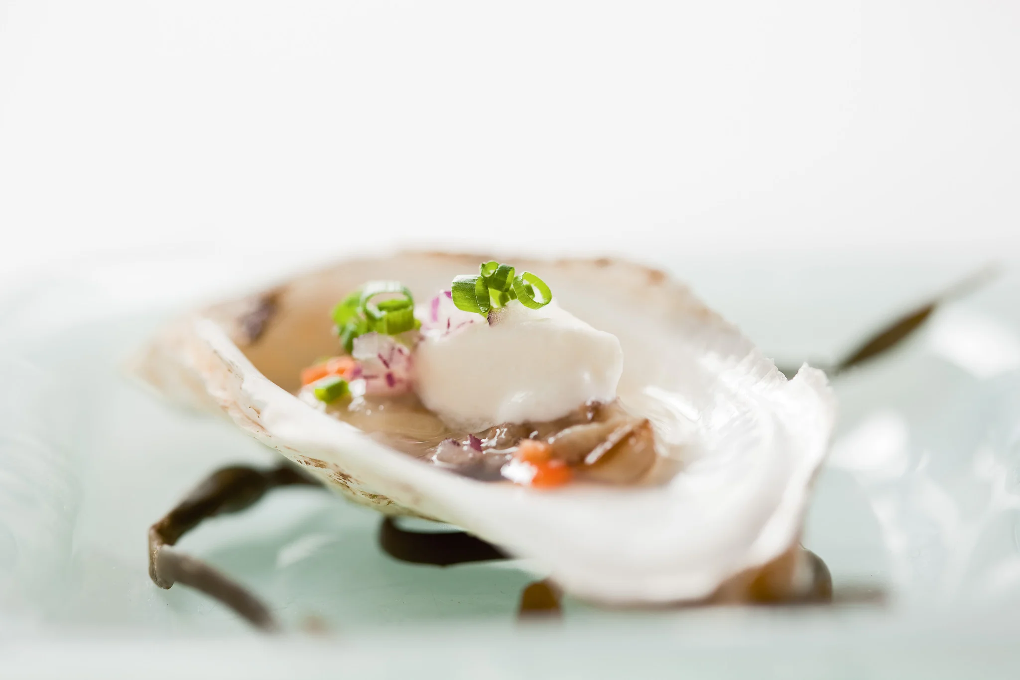 Nicholas\: The Cookbook: by Nicholas Harary with Peter Zuorick - Image 14