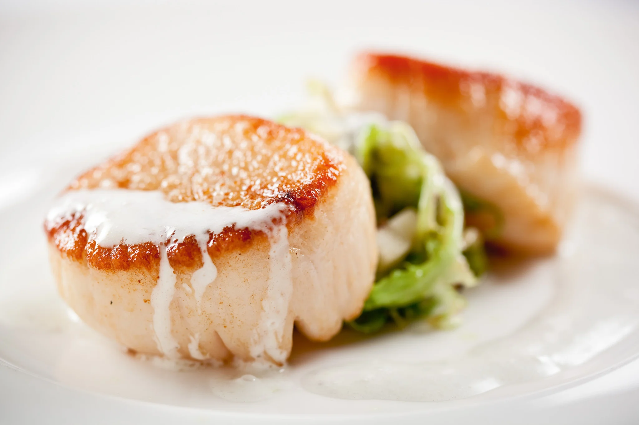 Nicholas\: The Cookbook: by Nicholas Harary with Peter Zuorick - Image 4