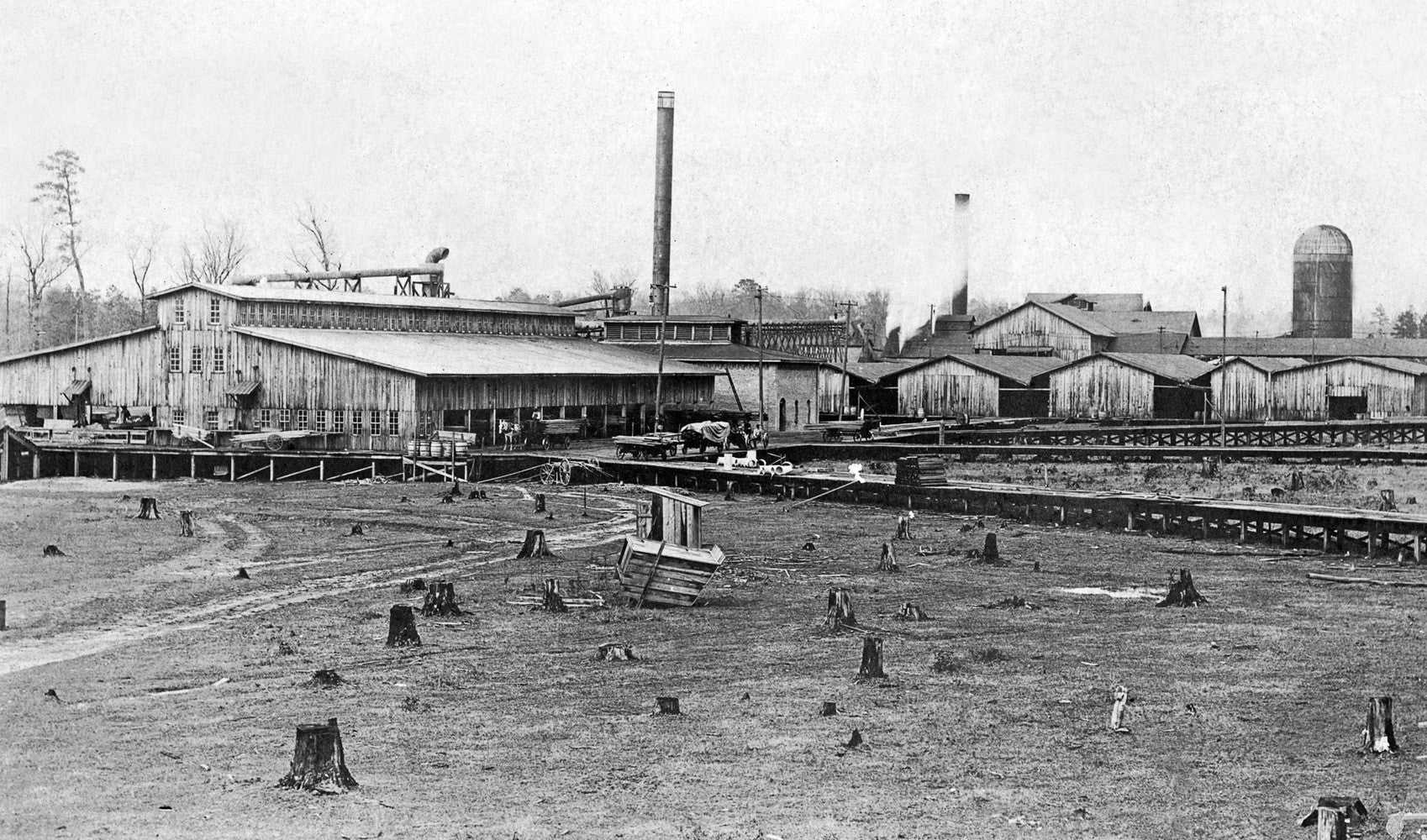 Images of Northeastern Louisiana: Volume II - Image 5