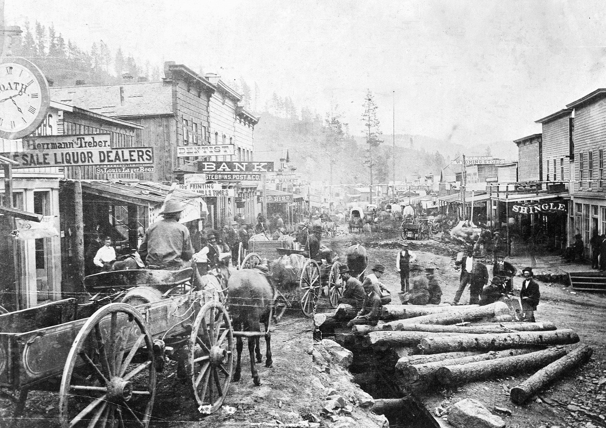 Our Black Hills & Badlands: A Retrospective from the Gold Rush to the Great Depression - Image 10