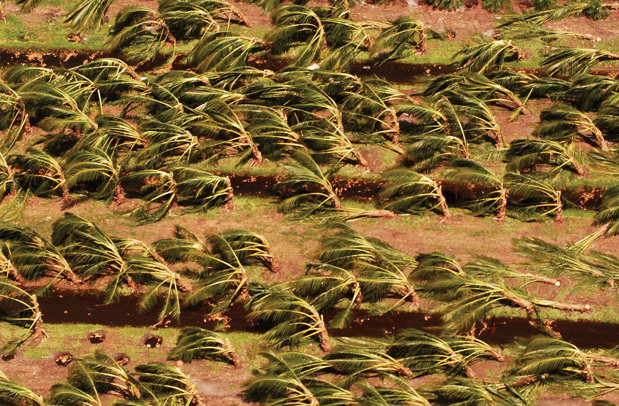 Savage Storms: Hurricane Season 2004 - Image 8