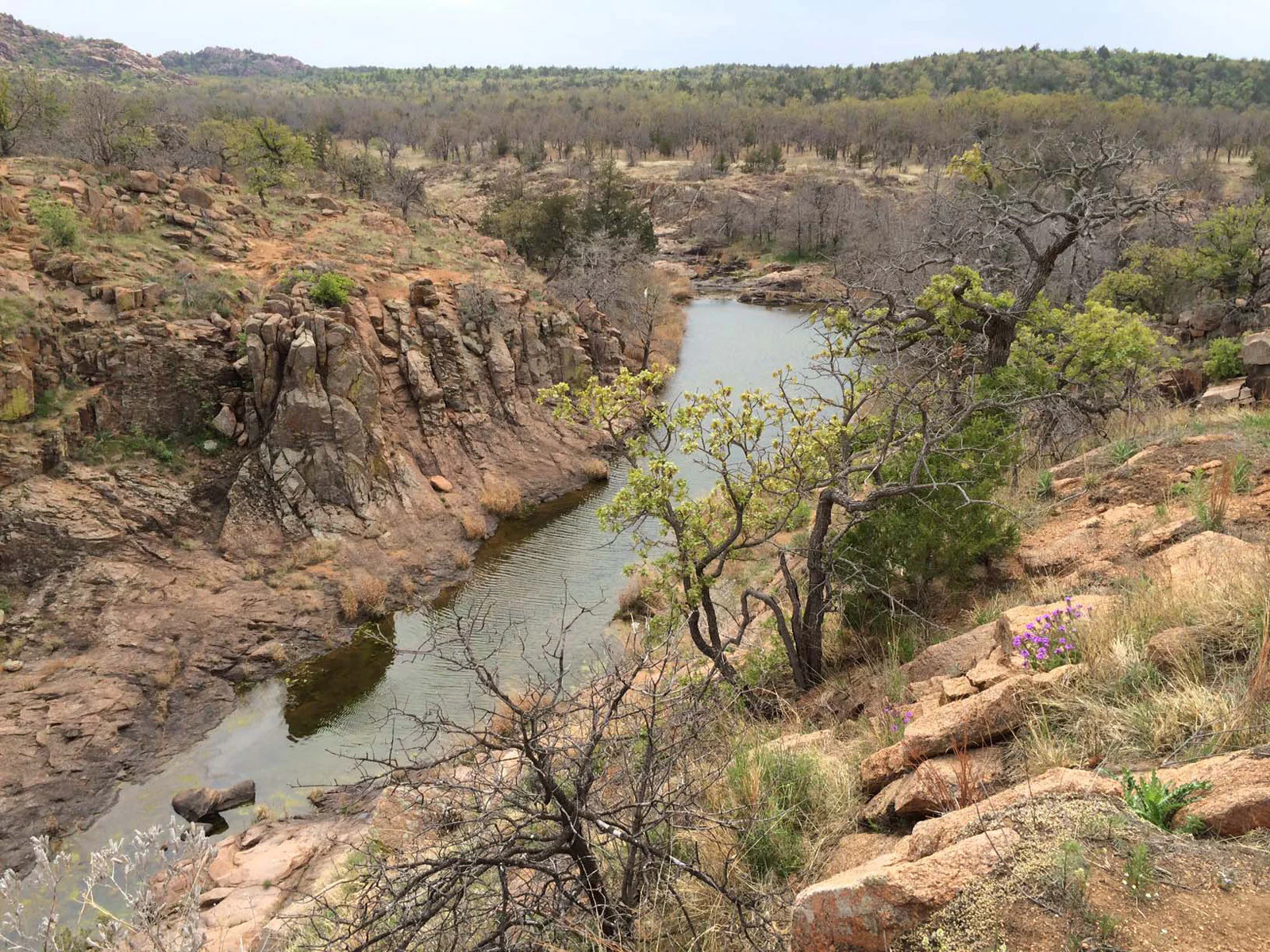 The Oklahoma Book: A Journey through the Best Destinations in the State - Image 4