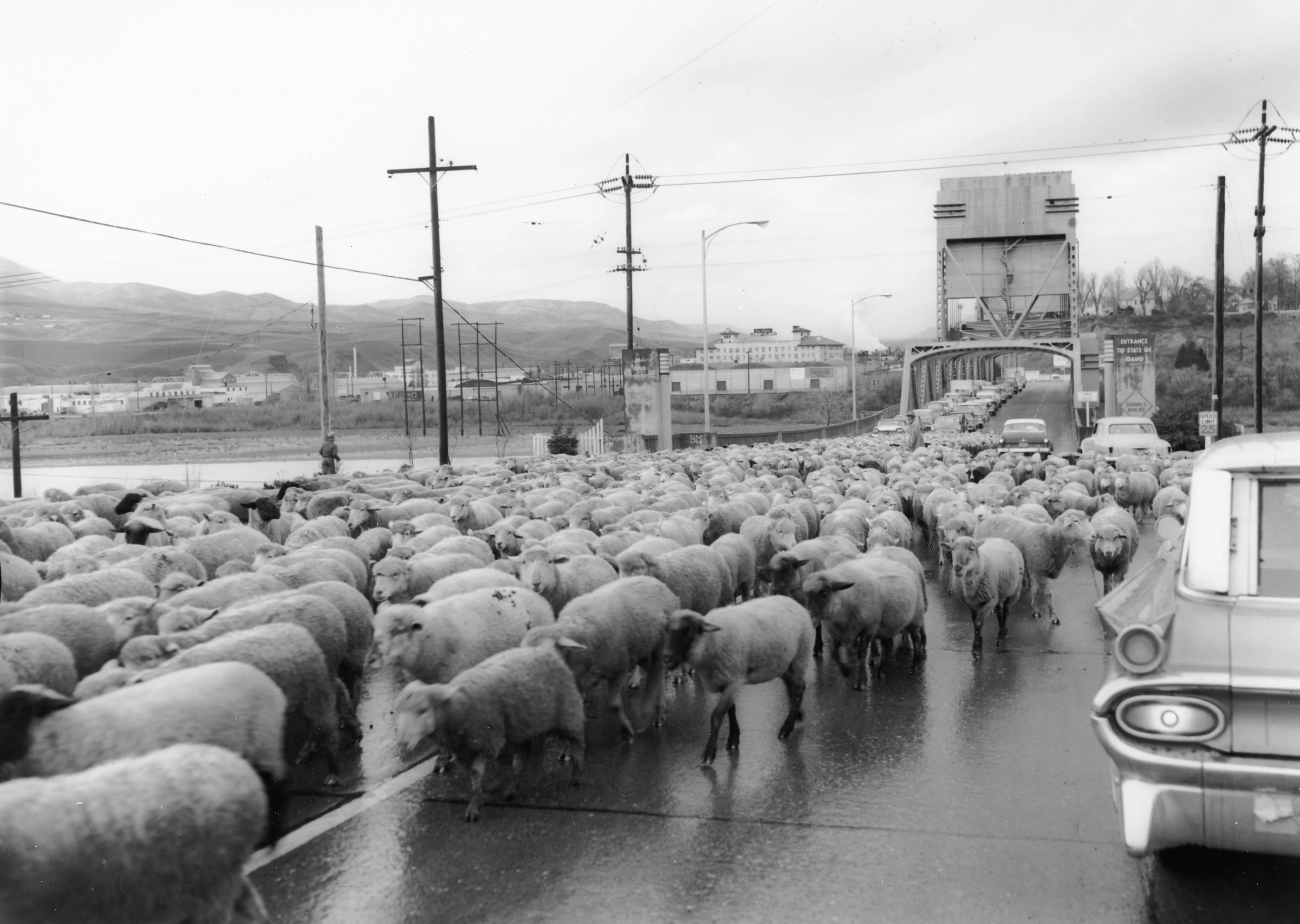 Two Rivers, One History Volume II: Historic Images of the Lewis-Clark Valley — The 1940s, '50s, '60s and '70s - Image 13