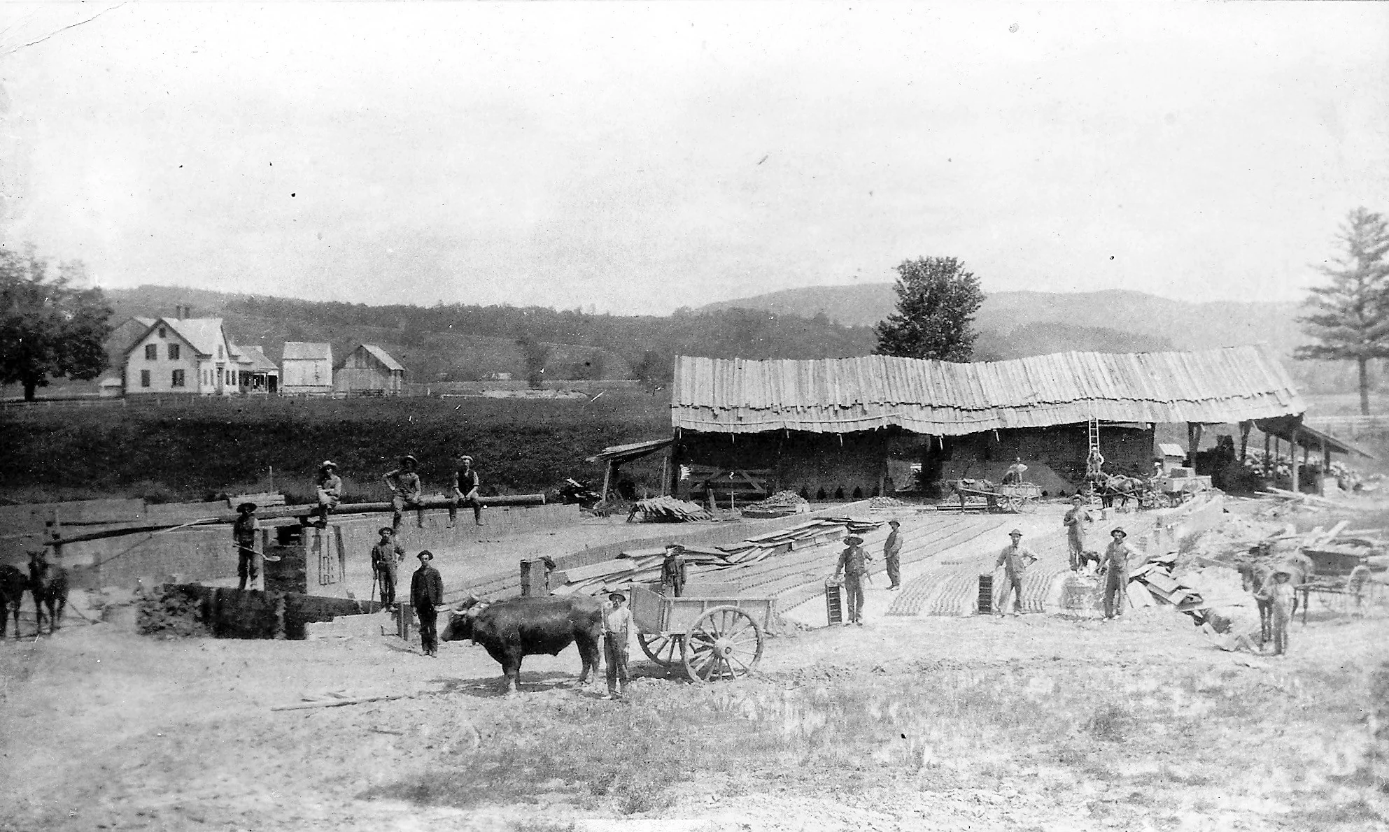 Valley Memories: The Early Years - Image 5